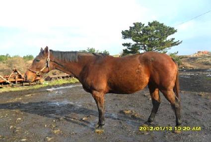 �������� ����