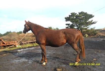 �׷���Ѹ� ����