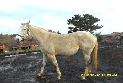 �Ϸ��� ����