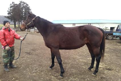 ���忡�������� ����