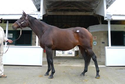 ���ǻó�� ����