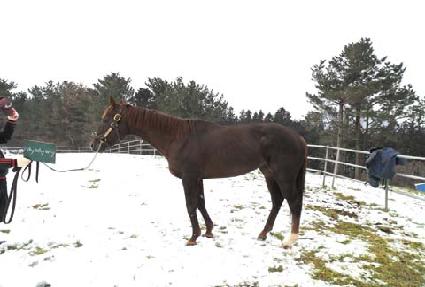 ���̿��̿��� ����