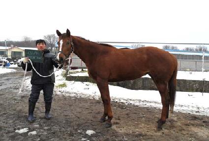 �������ũ ����