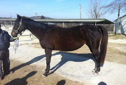 Ʈ������ÿ�� ����