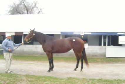 �۹����� ����