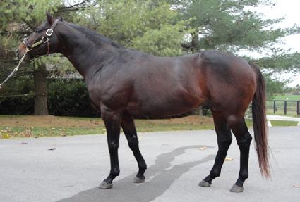 �����޸� ����