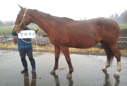 ������ ����