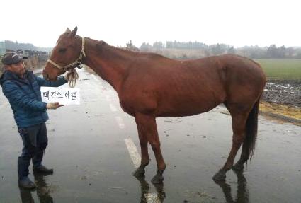 �ް������ ����