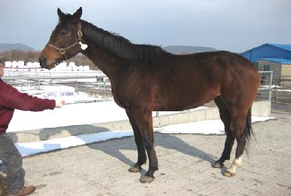 ����Ʈ�ָ�Ʃ�� ����