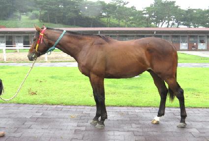 ������ũ ����