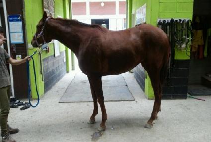 �帮�츶 ����