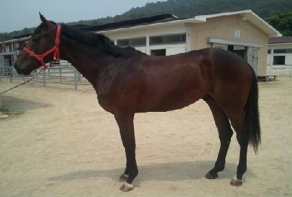 �߾����� ����