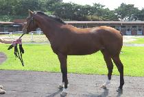 ���翤�� (ZERUEL JUN) ����