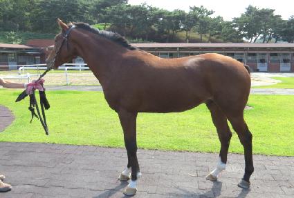 ���翤�� ����