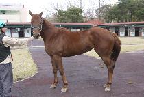 ����õ�� (YEOGEOL CHEONHA) ����