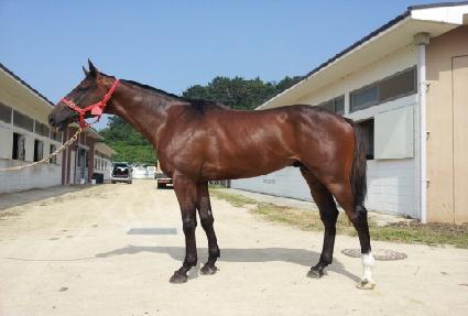 ������� ����