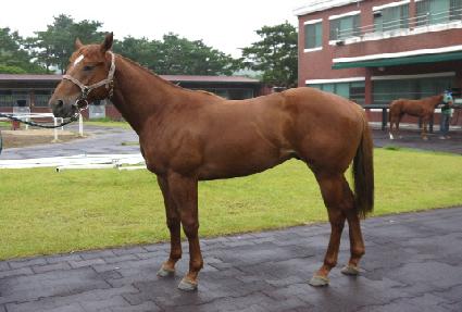 �������̾�Ʈ ����