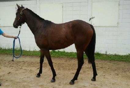 ��Ƽ��� ����