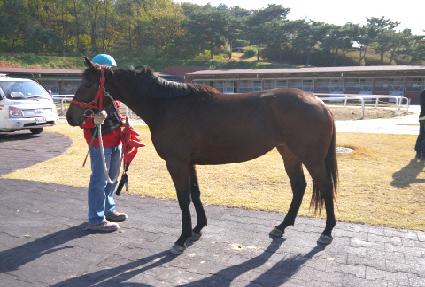 �ε峪�̳� ����