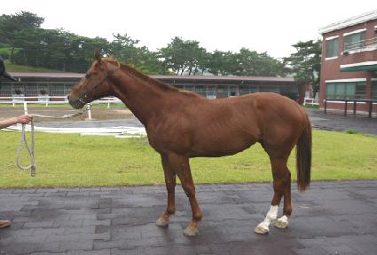 �����Ŀ ����