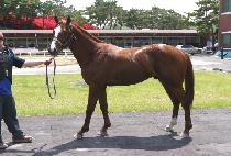 �����̽��� (SPACE GUN) ����