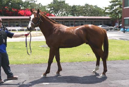 �����̽��� ����