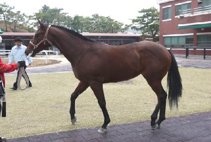 ť�ǵ�� ����