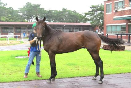 ���� ����