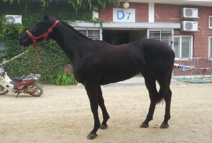 ��ȣ���� ����