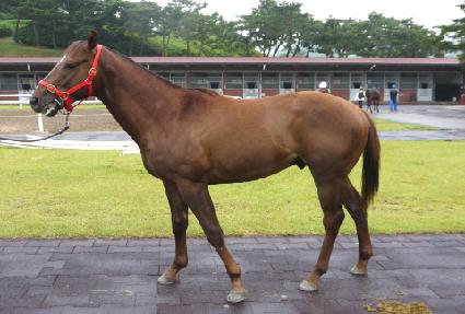 ��Ƽ������ ����