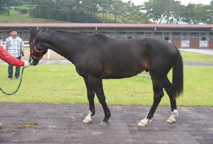 ��������� ����