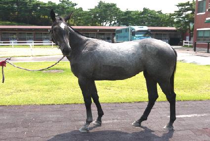 ��Ʈ���̸��� ����