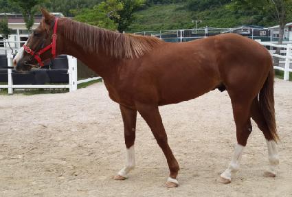 ����� ����