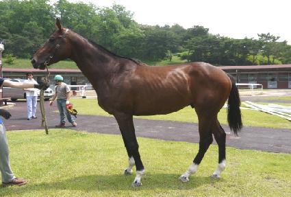 �»�õ�� ����