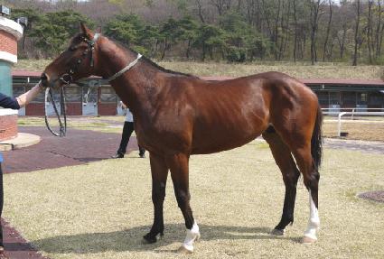 ��õ��ǰ ����