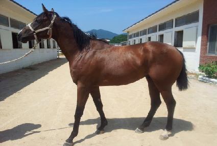 �۷ι�ŷ ����