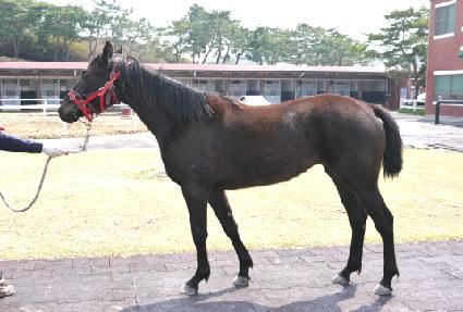 �������� ����