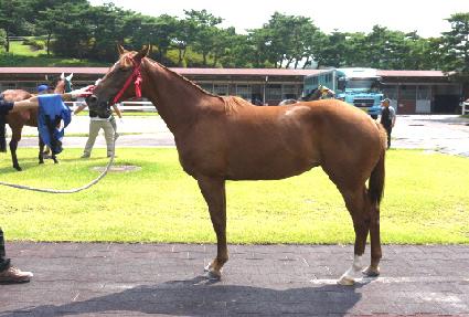 ��Ǫ������ ����