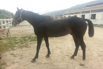 ����õ�� ����