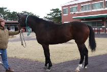 ���� (GANGHAE) ����