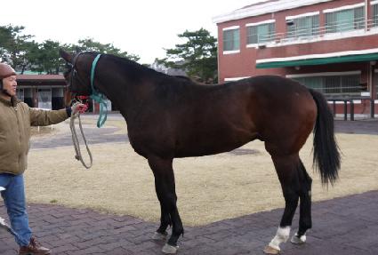 ���� ����