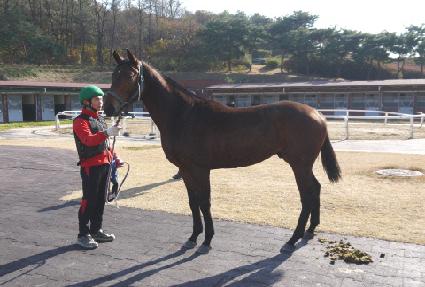 ��Ǫ����Ʈ ����