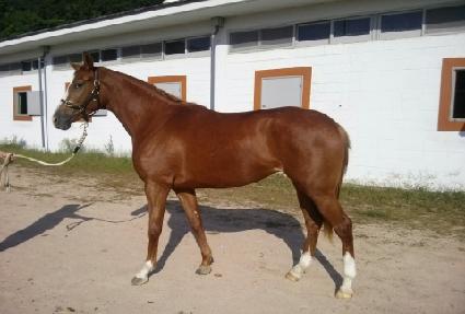 û���� ����