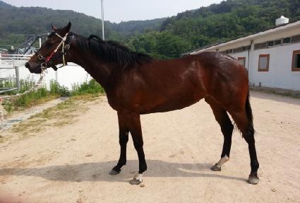 ��Űû�� ����