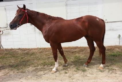 ����û�� ����