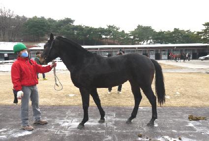 �����ĳ� ����