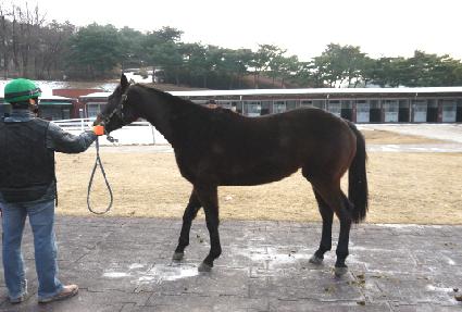 �μս���Ʈ ����