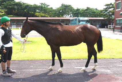 ī�������� ����