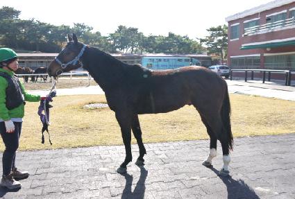 ��ǳ�ָ� ����