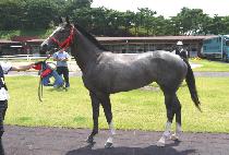 �ְ��Ϲ� (CHOEGANG HARBOR) ����